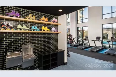 1015 N Alexander Street #B5, Charlotte, NC 28206 - Photo 15