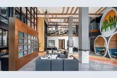 1015 N Alexander Street #B5, Charlotte, NC 28206 - Photo 5