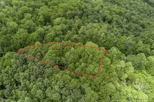 000 N Ridge Runner Rd, Burnsville, NC 28714 - Photo 5