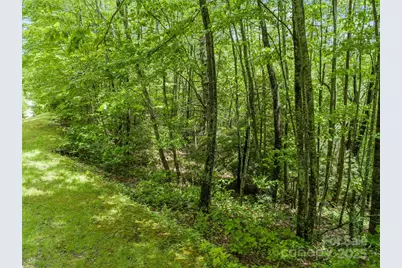 000 N Ridge Runner Road #92, Burnsville, NC 28714 - Photo 1