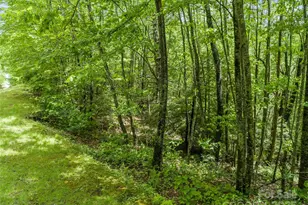 000 N Ridge Runner Rd, Burnsville, NC 28714 - Photo 1
