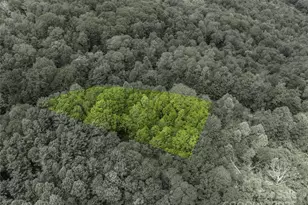 000 N Ridge Runner Rd, Burnsville, NC 28714 - Photo 9