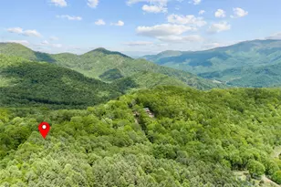 000 N Ridge Runner Rd, Burnsville, NC 28714 - Photo 7