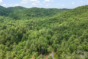 68 Huckleberry Rdg Ln, Zirconia, NC 28790 - Photo 41
