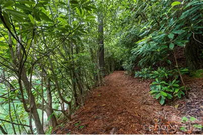 68 Huckleberry Ridge Lane, Zirconia, NC 28790 - Photo 33