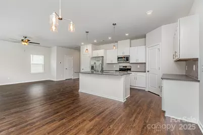 2059 Sadler Woods Lane, Charlotte, NC 28214 - Photo 3