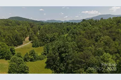 Off Wildlife Lake Road, Old Fort, NC 28762 - Photo 7