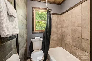 6541 Grassy Branch Rd, Bryson City, NC 28713 - Photo 23