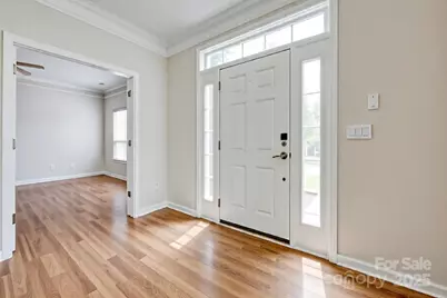 3725 Leela Palace Way, Fort Mill, SC 29708 - Photo 3