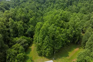 320 Board Tree Rd, Marshall, NC 28753 - Photo 7