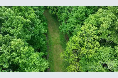 320 Board Tree Road, Marshall, NC 28753 - Photo 9