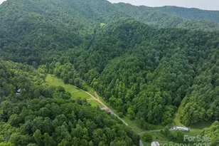 320 Board Tree Rd, Marshall, NC 28753 - Photo 13