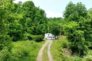 320 Board Tree Rd, Marshall, NC 28753 - Photo 9