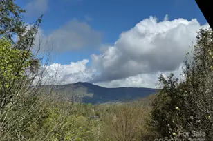 367 Skyleaf Dr, Sugar Mountain, NC 28604 - Photo 21