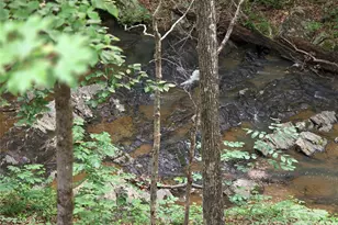 320 Estes Farm Trail, Eden, NC 27288 - Photo 25