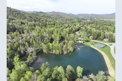 Tbd Trailside Court, Brevard, NC 28712 - Photo 7