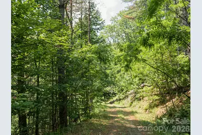 1000 Sutton Creek Road, Pisgah Forest, NC 28768 - Photo 21