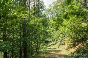 1000 Sutton Creek Rd, Pisgah Forest, NC 28768 - Photo 21