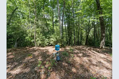 1000 Sutton Creek Road, Pisgah Forest, NC 28768 - Photo 13