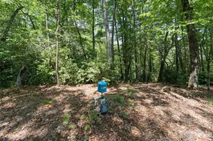 1000 Sutton Creek Rd, Pisgah Forest, NC 28768 - Photo 13