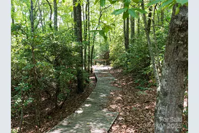 1000 Sutton Creek Road, Pisgah Forest, NC 28768 - Photo 5