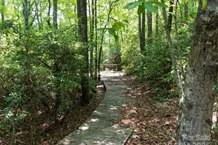 1000 Sutton Creek Rd, Pisgah Forest, NC 28768 - Photo 5