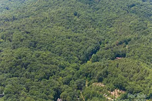 1000 Sutton Creek Rd, Pisgah Forest, NC 28768 - Photo 29