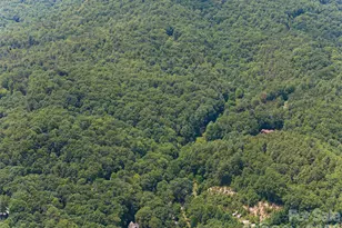 1000 Sutton Creek Rd, Pisgah Forest, NC 28768 - Photo 29