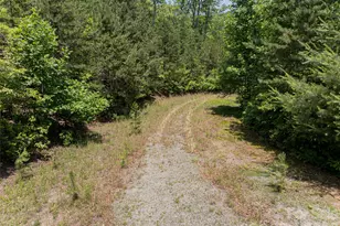 1000 Sutton Creek Rd, Pisgah Forest, NC 28768 - Photo 23