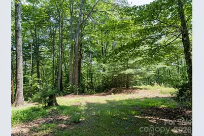 1000 Sutton Creek Road, Pisgah Forest, NC 28768 - Photo 3