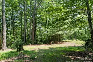 1000 Sutton Creek Rd, Pisgah Forest, NC 28768 - Photo 3
