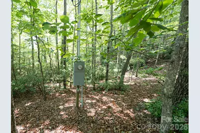 1000 Sutton Creek Road, Pisgah Forest, NC 28768 - Photo 19