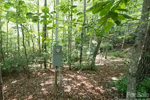 1000 Sutton Creek Rd, Pisgah Forest, NC 28768 - Photo 19