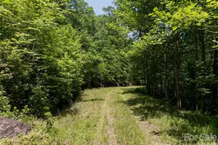 1000 Sutton Creek Rd, Pisgah Forest, NC 28768 - Photo 27