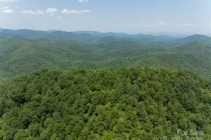 1000 Sutton Creek Rd, Pisgah Forest, NC 28768 - Photo 27