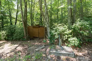 1000 Sutton Creek Rd, Pisgah Forest, NC 28768 - Photo 13