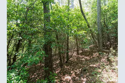 1000 Sutton Creek Road, Pisgah Forest, NC 28768 - Photo 7