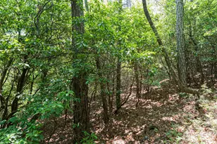 1000 Sutton Creek Rd, Pisgah Forest, NC 28768 - Photo 7