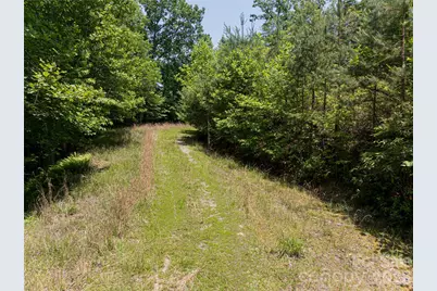 1000 Sutton Creek Road, Pisgah Forest, NC 28768 - Photo 25