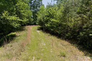 1000 Sutton Creek Rd, Pisgah Forest, NC 28768 - Photo 25