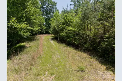 1000 Sutton Creek Road, Pisgah Forest, NC 28768 - Photo 23