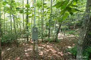 1000 Sutton Creek Rd, Pisgah Forest, NC 28768 - Photo 17