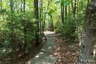 1000 Sutton Creek Rd, Pisgah Forest, NC 28768 - Photo 5