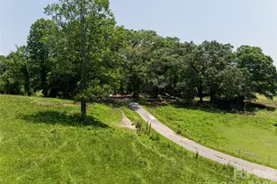 173 Avery Creek Rd, Arden, NC 28704 - Photo 7