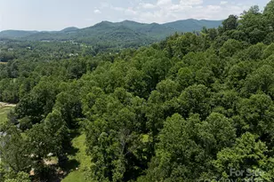 173 Avery Creek Rd, Arden, NC 28704 - Photo 29