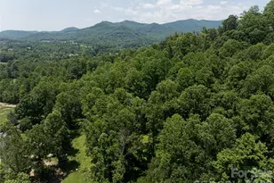 173 Avery Creek Rd, Arden, NC 28704 - Photo 29