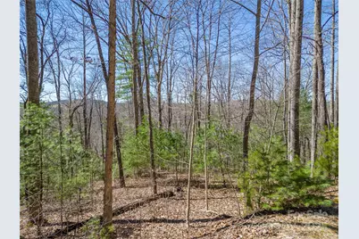 132 Overlook Park Drive #51, Hendersonville, NC 28792 - Photo 17