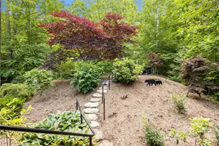 172 Juneberry Ln, Tuckasegee, NC 28783 - Photo 23