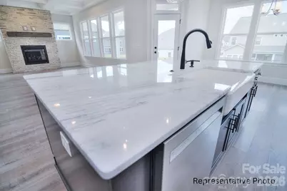 277 Triple Ponds Court #12, Clover, SC 29710 - Photo 7