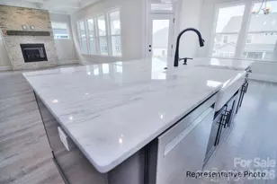 277 Triple Ponds Ct, Clover, SC 29710 - Photo 7